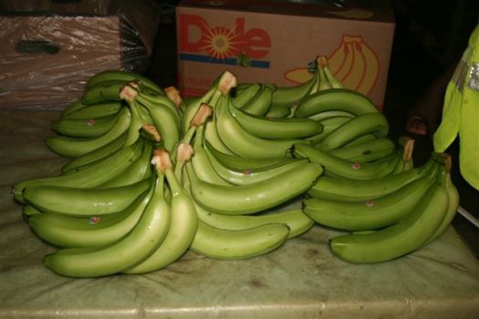COMMERCE : L'UE OUVRE LIBREMENT SES MARCHÉS AUX PRODUITS DU CAMEROUN COMMERCE : L'UE OUVRE LIBREMENT SES MARCHÉS AUX PRODUITS DU CAMEROUN