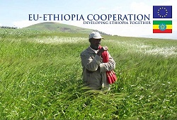 EU-ETHIOPIA COOPERATION 