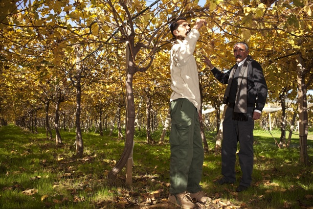 The European Union supports small farmers in Adjara