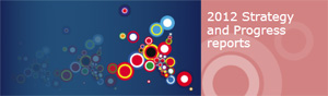 Key findings on the 2012 progress report on Iceland