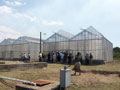 Jamaica &ndash; February 2010 Newly built green houses at the Bodles Research Centre in St. Catherine funded under the EU Banana Support Programme.