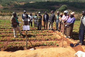 Farmers geared to increase crop production through irrigation Farmers geared to increase crop production through irrigation
