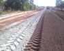 Rehabilitation of Masasa-golomoti-Monkey Bay
