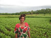 Farmer shows groundnuts to programme manager