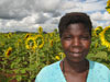 Farmer producing sunflowers at Jenda, Malawi