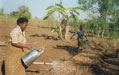 Woman watering plants on a field