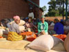 Rural women sorting and grading chillies