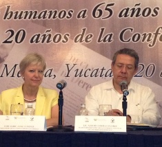 International Seminar "Human Rights 65 years after the Universal Declaration and 20 years after the Vienna Conference."