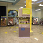Exhibition of pictures of EU funded projects implemented by FAO and WFP