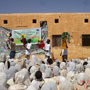 الاتحاد الاوروبي يمول مشروعات الوعى وحماية البيئة في السودان.&nbsp; مجموعة من الفنانين السودانيين يزورون المدارس السودانية لتقديم مسرحيات العرائس لزيادة الوعى بحماية البيئة
