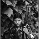 Comrade Rojana, age 19. "I have seen women being beaten by security forces at a religious fair. Nirmala (another female Maoist combatant) and I were in the cultural team and decided to join the armed movement together."