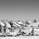 Bahai refugee camp.