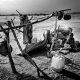 The 600 km territory ranging from the common border is a vast area to cover in case of emergency. Many of the refugees who manage to cross the border remain isolated in the desert until the the UNHCR staff locate them and take them to the camps.