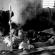 Inside one of the hospitals at the refugee camps.