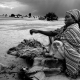 An internally displaced woman in the middle of the desert, near the border with Chad.