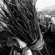 A makeshift camp for displaced refugees in Goma. They fled the fighting between government forces and General Nkunda in Karuba and Mushake, Kivu Province.