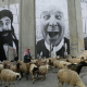 A man herds sheep next to the separation wall between Israel and the occupied Palestinian territory in Bethlehem, Palestine on March 19, 2007.