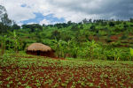 Burundi