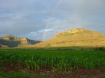 Lesotho