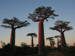 Madagascar