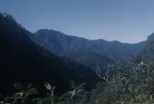 Papua New Guinea