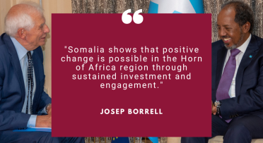 HR/VP Josep Borrell meeting with President of Somalia