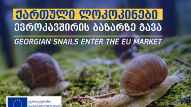 Georgian snails enter the EU market banner