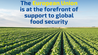 Visual with text on screen: The EU is at the forefront of support to global food security