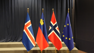 Flags of Norway, Iceland, Liechtenstein and the EU