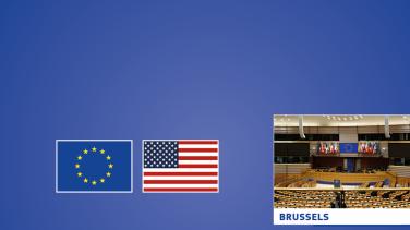 Banner Web - EU-US Visitors Programme