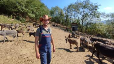 Alen, a donkey farmer wearing a hat in a farm surrounded by donkeys