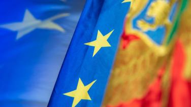 EU MNE flag