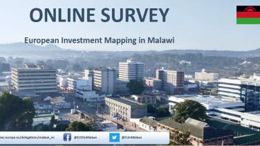 Online Survey-Malaw-