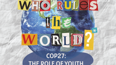 COP27: The Role of Youth