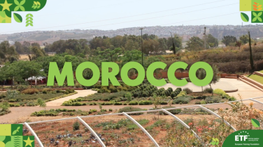 For the people behind Morocco’s Bouregreg Med-O-Med Gardening School – the country’s first eco-nursery and education centre