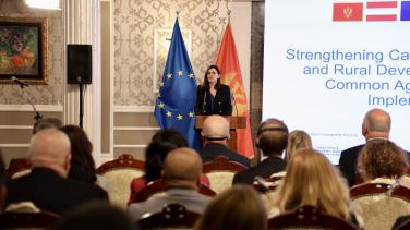 Oana Cristina Popa standing in front of a crowd of audience at Villa Gorica. Behind her there are two flags,the Montenegrin flag and the flag of the EU