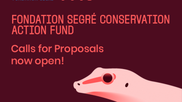 New Fondation Segré Conservation Action Fund Calls For Proposals – Apply Now! - Lesotho