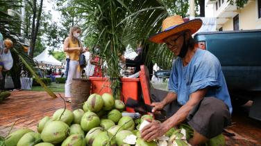 Bangkok Post - Wittaya Liengruksa says he has been growing better-tasting coconuts since he went organic. SUPPLIED 