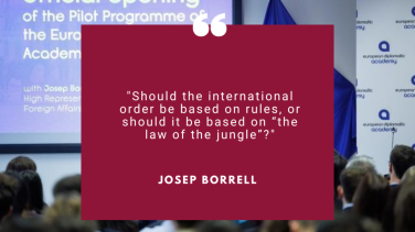 Borrell Jungle 