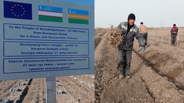 European Union completed planting of 27 thousand trees in Aral Sea basin