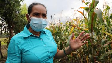 Pequeños productores de Nicaragua