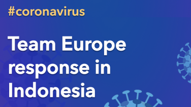 Team Europe response in Indonesia