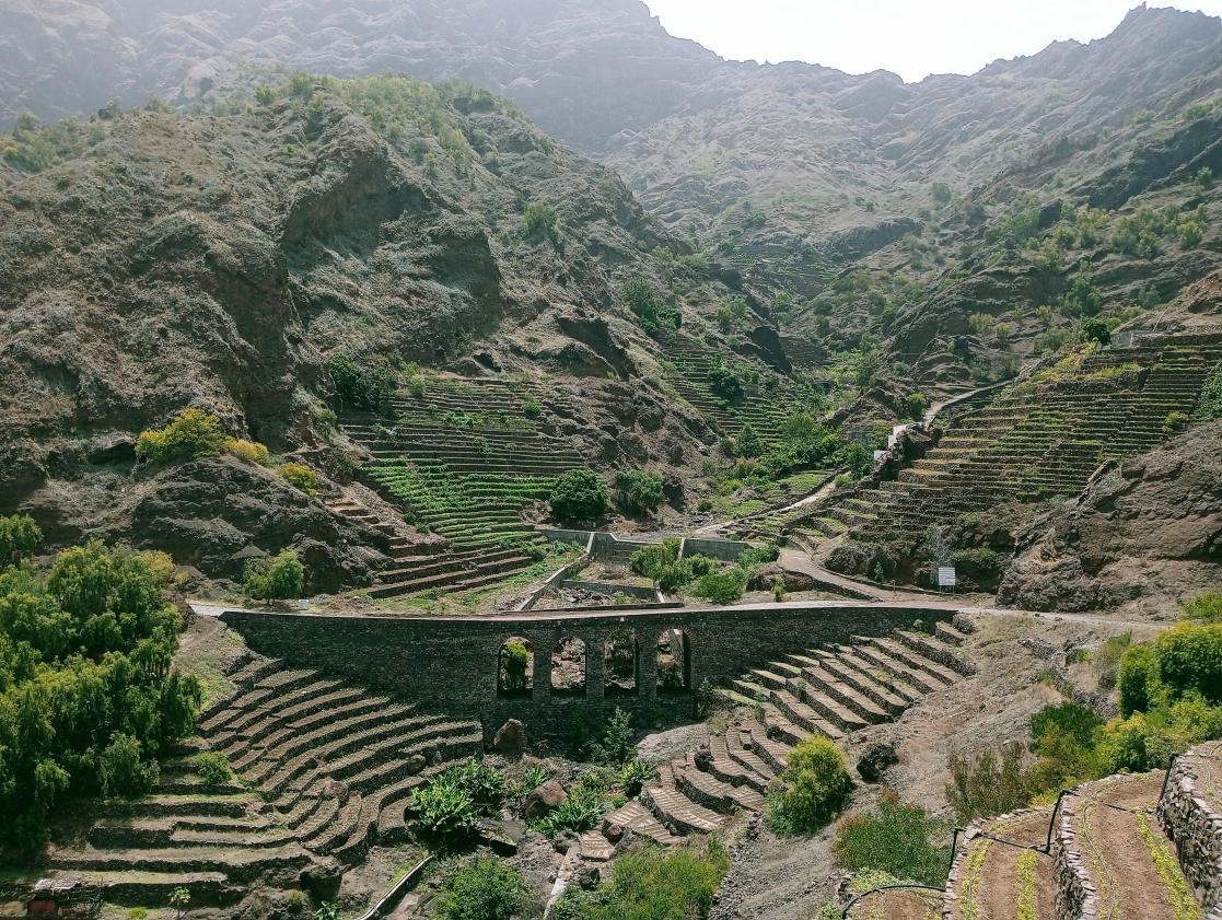 Terras Vivas