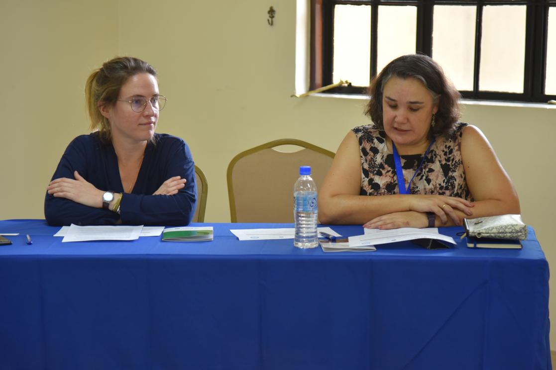 Two speakers during a conference