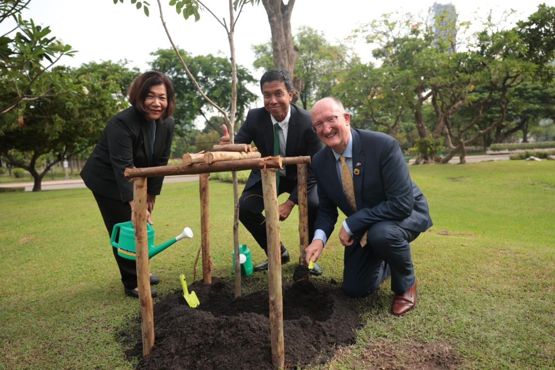 Mr Chadchart Sittipunt, Governor of Bangkok and Ms Busadee Santipitaks, Deputy Permanent Secretary, Ministry of Foreign Affairs, planted three symbolic Siamese Rosewood trees with H.E. Mr David Daly, Ambassador of the EU to Thailand in Bangkok