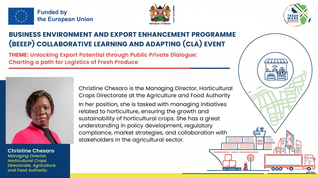 Unlocking export potential through public-private dialogue