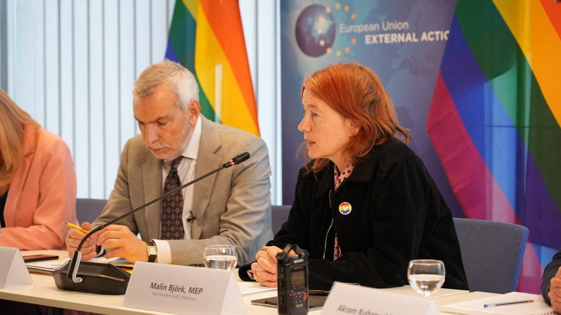 MEP Malin Bjork