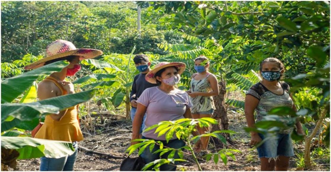 People and landscapes in Brazil