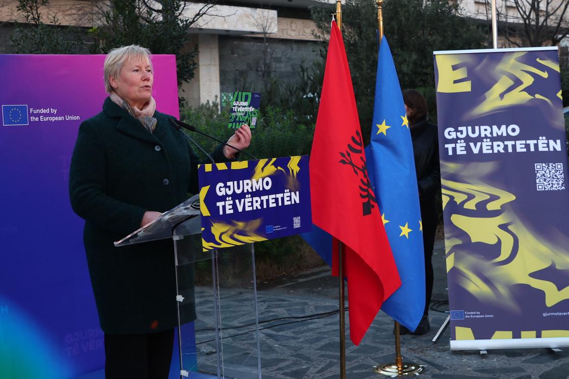 EU Ambassador Christiane Hohmann 