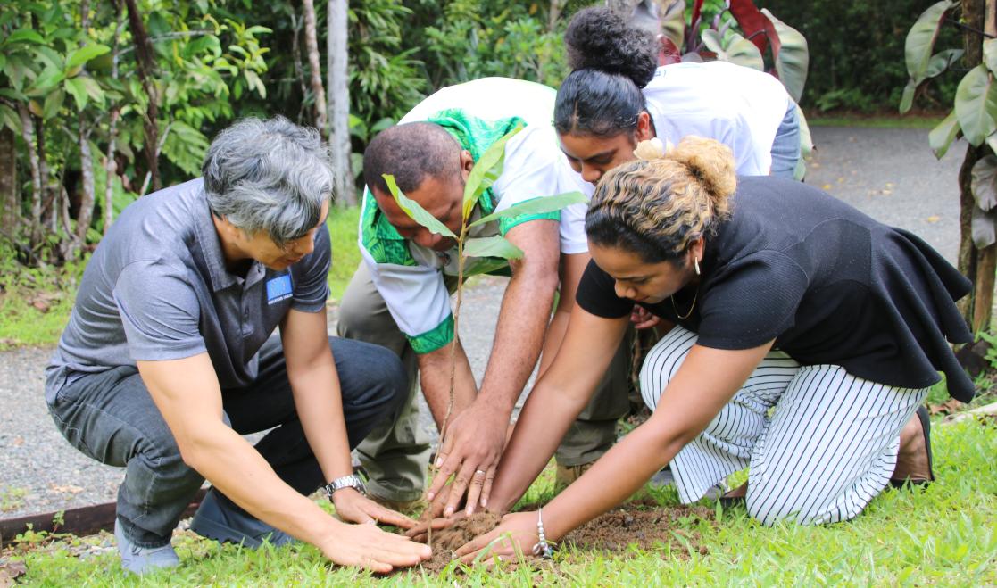 The Delegation of the European Union for the Pacific organises a tree planting to mark the conclusion of COP27  